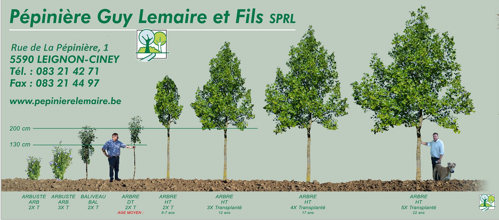 différentes variations